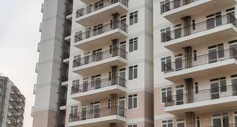 2 BHK Apartment For Resale in Suncity Avenue 76 Sector 76 Gurgaon 6435751