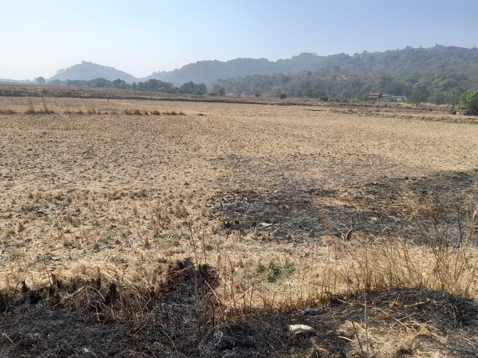 150+ Property for Sale Near Indira Gandhi Hospital, Uran Navi Mumbai