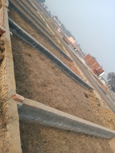  Plot For Resale in Dankaur Greater Noida 6436489