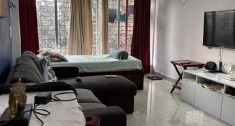1 BHK Apartment For Rent in Bandra West Mumbai 6437306