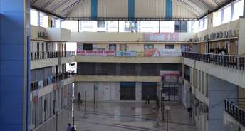 Commercial Shop 316 Sq.Ft. For Rent In Chandkheda Ahmedabad 6437405