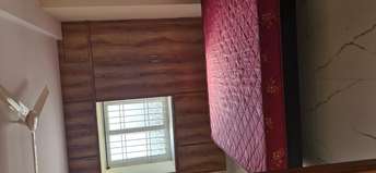 2 BHK Builder Floor For Rent in Kondapur Hyderabad  6437659
