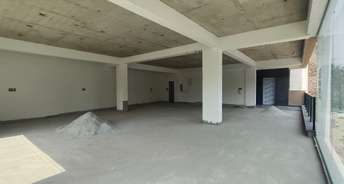 Commercial Showroom 1600 Sq.Ft. For Rent In Hsr Layout Sector 2 Bangalore 6437725