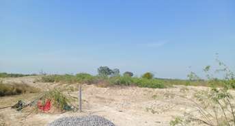 Commercial Land 40 Acre For Resale In Lucknow Road Hardoi 6437772