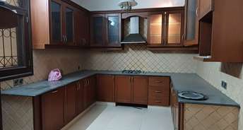 4 BHK Builder Floor For Rent in New Friends Colony Floors New Friends Colony Delhi 6437930