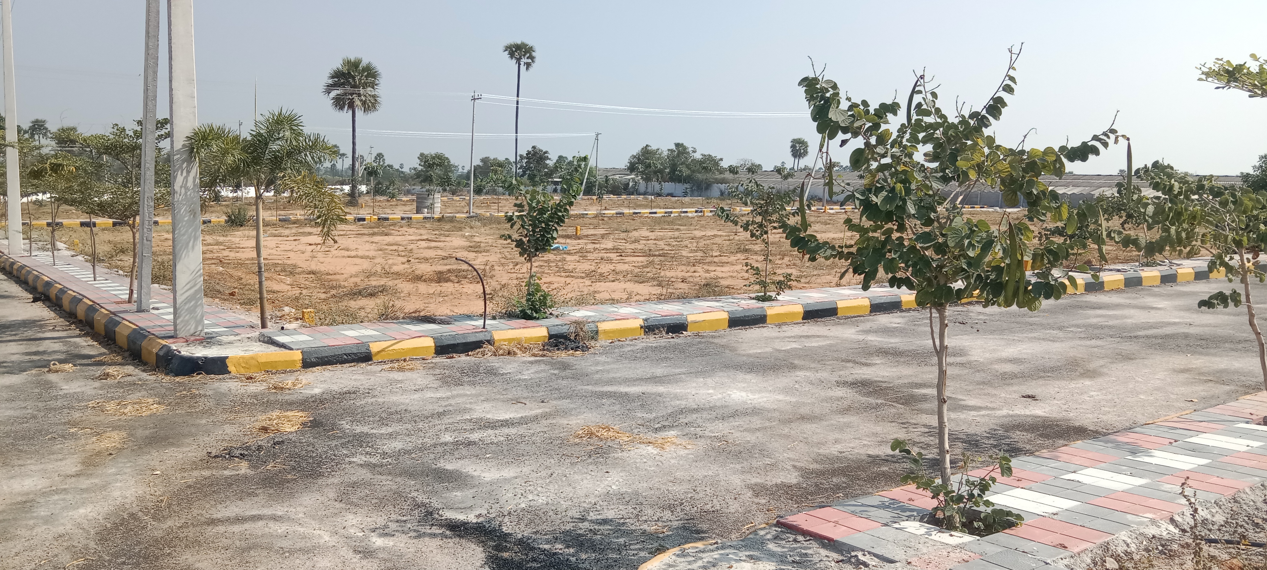 Plot For Resale in Old Bowenpally Hyderabad  6438675