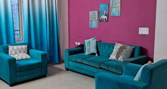 3.5 BHK Apartment For Rent in Kingswood Court Sain Vihar Ghaziabad 6438684