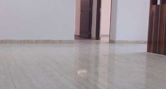 2 BHK Apartment For Rent in Amrapali Kingswood Sector 4, Greater Noida Greater Noida 6438937