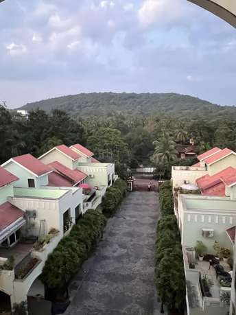2 BHK Apartment For Resale in Arpora North Goa 6439422
