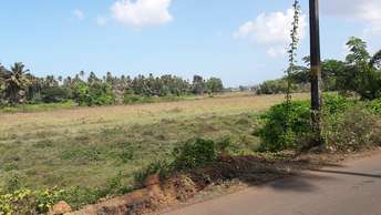 Commercial Land 500 Sq.Mt. For Resale In Calangute  Goa 6439451