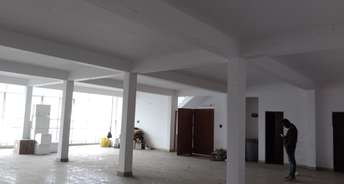 Commercial Showroom 1300 Sq.Ft. For Rent In Nainital Road Haldwani 6439847
