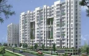 3 BHK Apartment For Rent in Nitesh Hyde Park Bannerghatta Road Bangalore 6440361