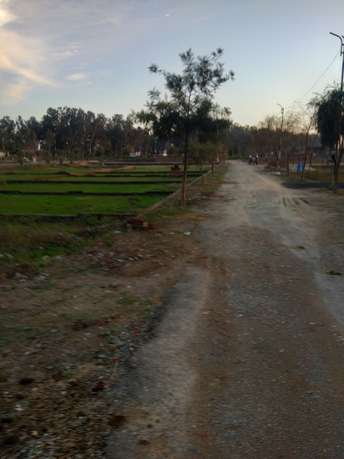  Plot For Resale in Dhira Pathankot 6440427