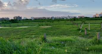  Plot For Resale in New Town Action Area ii Kolkata 6440900