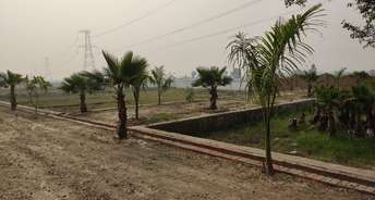  Plot For Resale in Sector Mu 2, Greater Noida Greater Noida 6440892