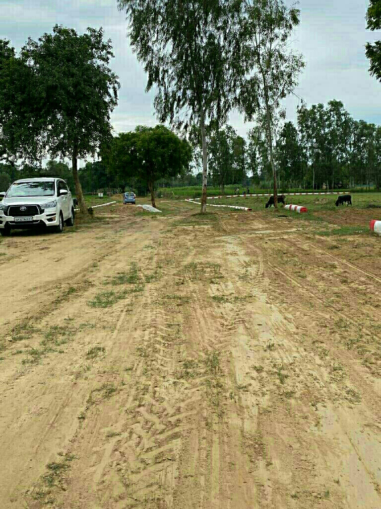 Plot For Resale in Gomti Nagar Lucknow  6441142