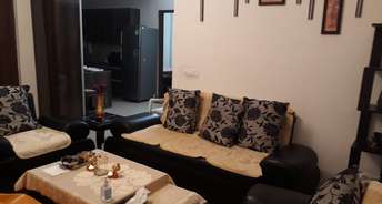 2 BHK Apartment For Rent in Civitech Sampriti Sector 77 Noida 6441210