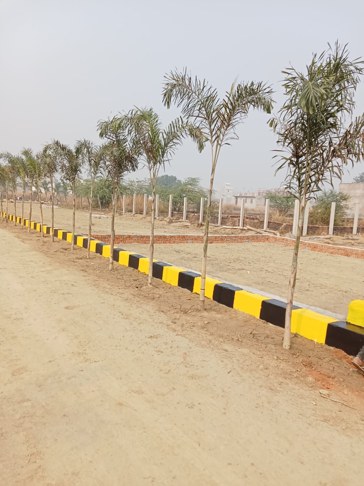 Plot For Resale in Raebareli Road Lucknow  6441540