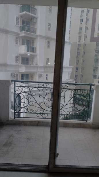 3.5 BHK Apartment For Rent in Noida Central Noida 6441638