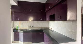 3 BHK Apartment For Rent in Aditya World City Bamheta Ghaziabad 6442145