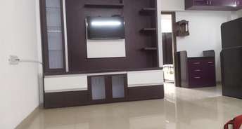 1 BHK Apartment For Rent in Lavender Apartment Kharadi Pune 6442422