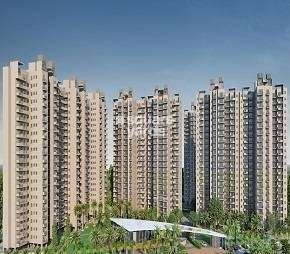 2 BHK Apartment For Rent in SS The Coralwood Sector 84 Gurgaon  6443270