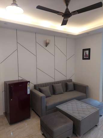 1.5 BHK Builder Floor For Rent in Sushant Lok ii Gurgaon 6443496