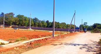  Plot For Resale in Ms Palya Bangalore 6443572