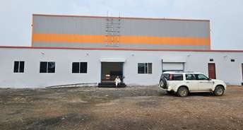Commercial Warehouse 35000 Sq.Ft. For Rent In Indore Bypass Road Indore 6443948