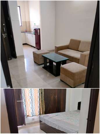 2 BHK Builder Floor For Rent in Sector 45 Gurgaon 6445361