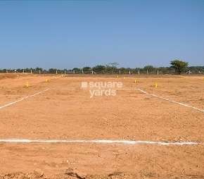  Plot For Resale in Arising Peacock Valley Kadthal Hyderabad 6445598