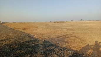 Commercial Land 475 Sq.Yd. For Resale In C G Road Ahmedabad 6445600