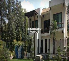5 BHK Villa For Rent in DLF Chattarpur Farms Chattarpur Delhi 6445998