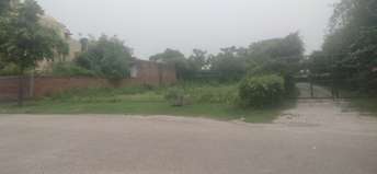  Plot For Resale in Yex Sector 25 Greater Noida 6446052