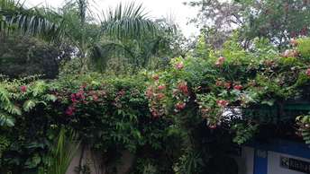 4 BHK Villa For Rent in Pari Chowk Greater Noida 6446296