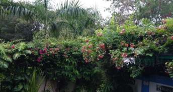 4 BHK Villa For Rent in Pari Chowk Greater Noida 6446296