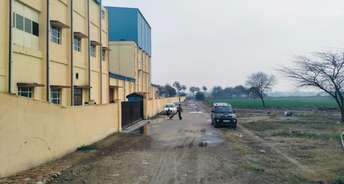 Commercial Industrial Plot 500 Sq.Yd. For Resale In Nh 15 Jhajjar 6447179