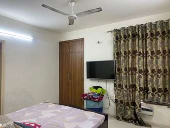 4 BHK Apartment For Rent in Tulip Violet Sector 69 Gurgaon  6447535