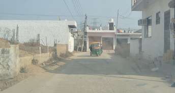  Plot For Resale in Mirzapur Faridabad 6447552
