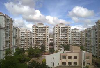 2 BHK Apartment For Rent in Magarpatta City Iris Hadapsar Pune 6447640
