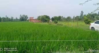 Commercial Land 25 Acre For Resale In Naubasta Kala Lucknow 6447713
