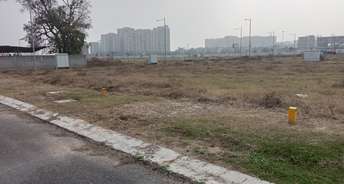  Plot For Resale in Pinewood Enclave Wave City Ghaziabad 6447751