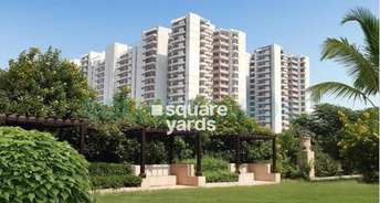 3 BHK Apartment For Rent in Sector 82 Faridabad 6448098