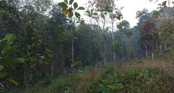  Plot For Resale in Adoor Pathanamthitta 6447147