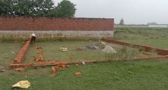  Plot For Resale in Dharsania Lucknow 6448626
