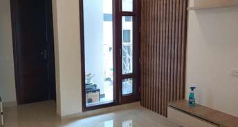 3 BHK Builder Floor For Rent in Phase 11 Mohali 6448760
