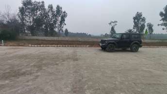  Plot For Resale in Sector 83 Gurgaon 6448809