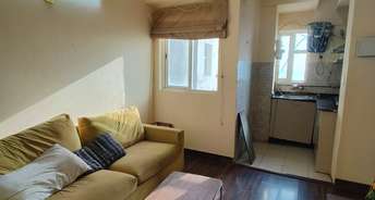 1 BHK Apartment For Rent in Paras Tierea Studio Apartments Sector 137 Noida 6449924