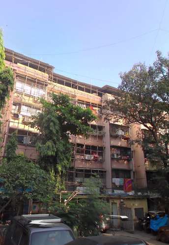 1 BHK Apartment For Rent in Aarti CHS Ghatkopar West Ghatkopar West Mumbai 6450245