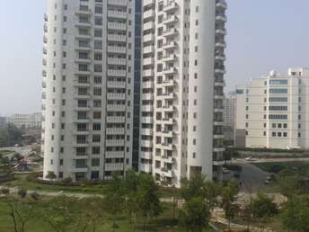 4 BHK Apartment For Rent in Parsvnath Exotica Sector 53 Gurgaon 6450322